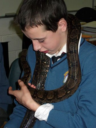 JCSP 2010-2011 : Animal Magic