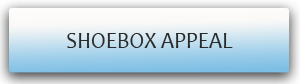 SHOEBOX APPEAL