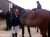 Desmond College Horse Riding Team at Clonshire Adare thumbnail