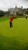 Desmond College: Adare Golf 2013 thumbnail