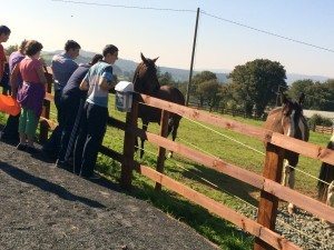 CSPE Trip to Kilfinane Animal Welfare Centre