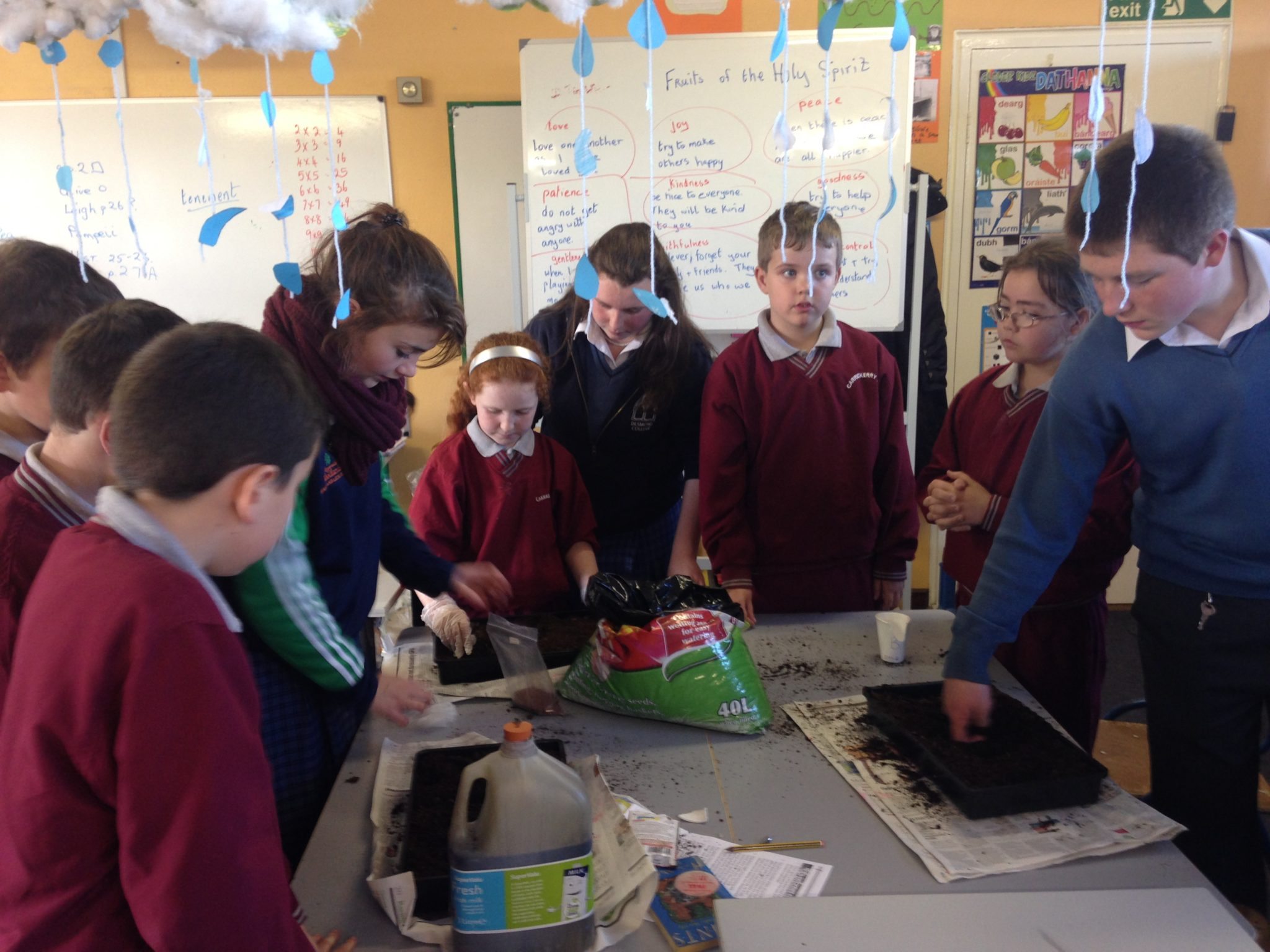 Desmond college students meet local primary school students