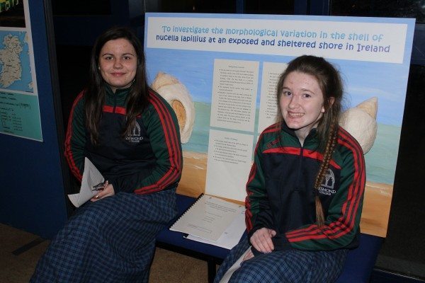 Sara Flately and Lauren Moloney who investigated the morpholigical variation in the shell of Nucella Iapillus at exposed and sheltered shores of Ireland