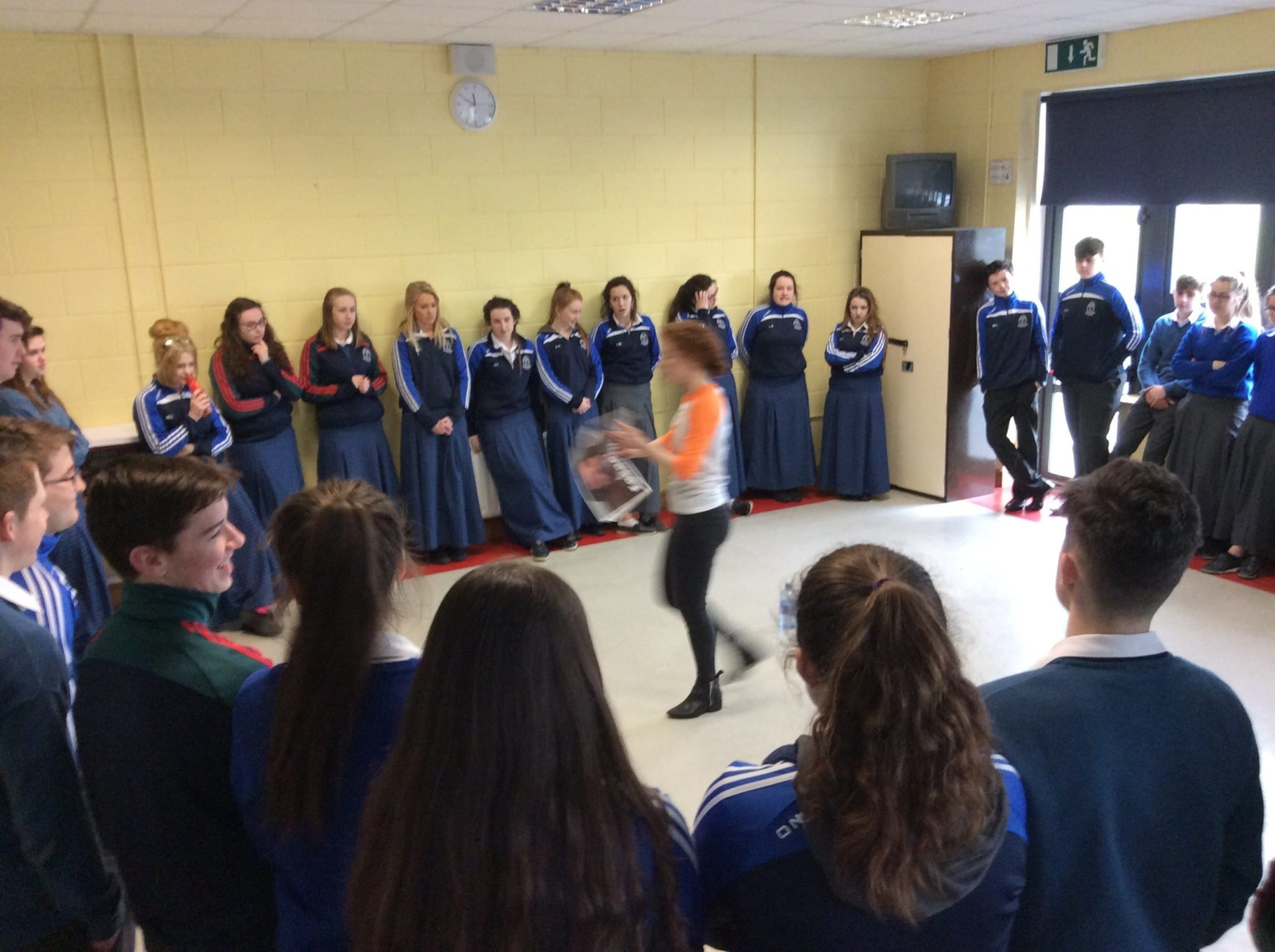 Interactive Irish Language Workshop for 5th years in Desmond College (March 2016)